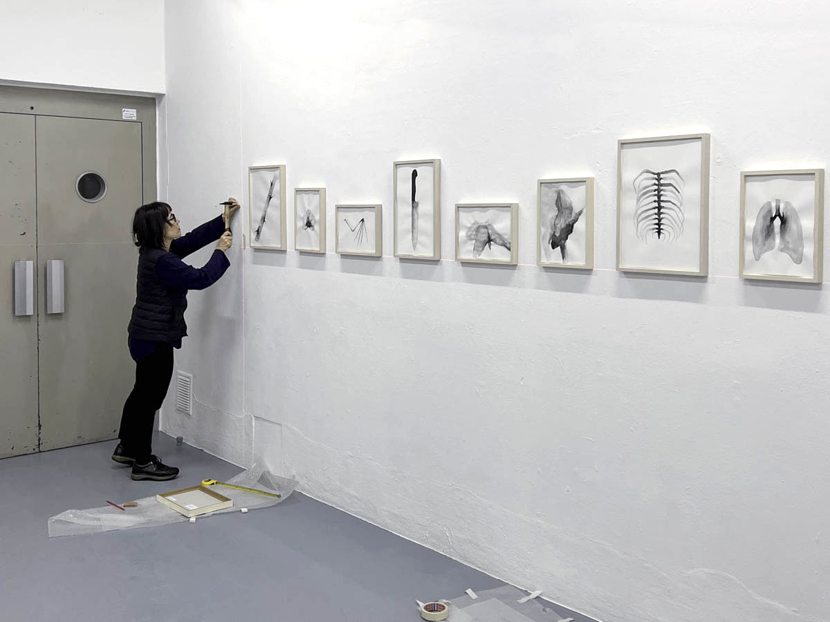 Standard Deluxe 2025