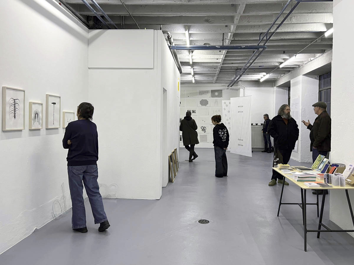 Standard Deluxe 2025